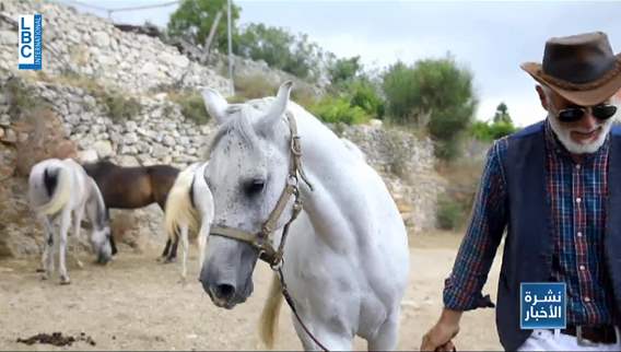A look into seven villages in Jbeil