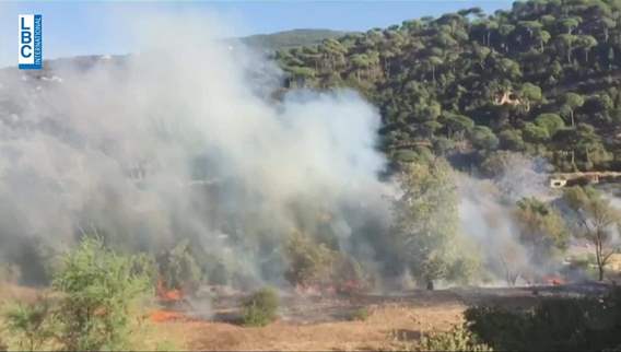 Forests threatened by fires, including Marj Bisri