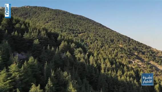 Chouf’s forests threatened by fires