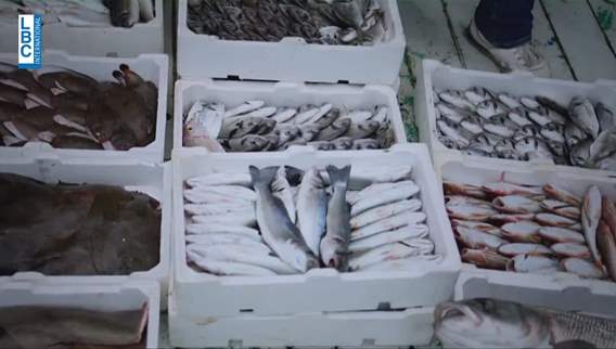 High percentage of fish is imported by Lebanon