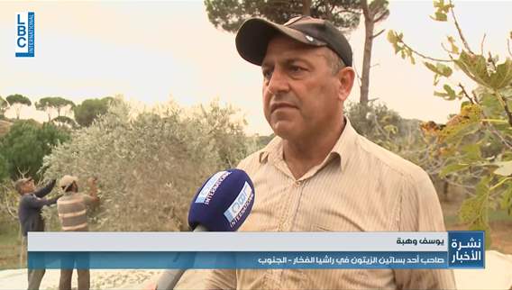 Olive farmers in the south: The latest
