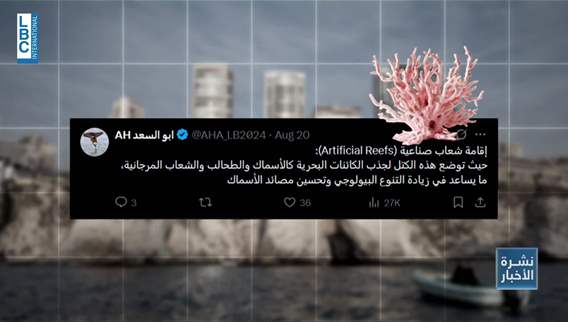  فيديو رمي بلوك في بحر الروشة حيّر الناس… والسبب أبسط مما توقّعوا