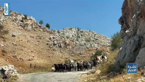 محمية ارز جاج بين الجمال والتعديات