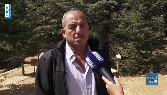 أرز الرب بين التشحيل القاسي والخوف من التجارة بالخشب! ووزارة الزراعة تتحرّك
