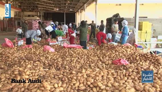 Why buying Lebanese potatoes matters now