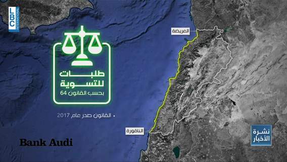 Public Works Ministry reviews maritime properties violations in South Lebanon