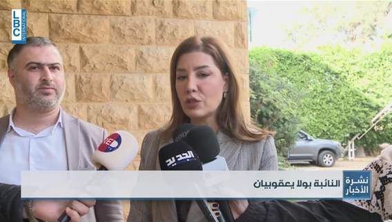 MP Paula Yacoubian says she and other lawmakers filed an appeal to invalidate Article 55 of budget law