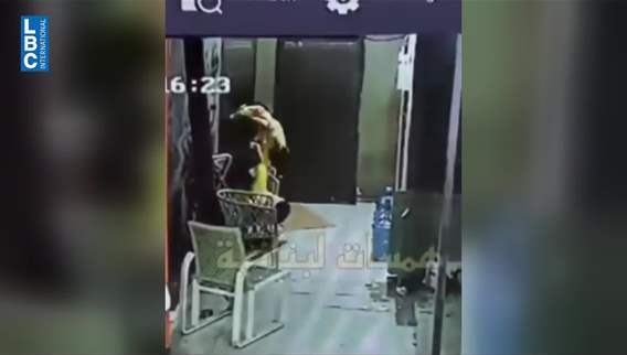 After alleged harassment incident involving a child at a café: How should it be handled and what is the role of parents?