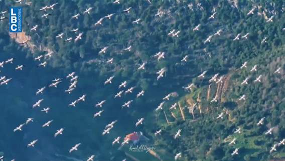 In Lebanon: A war between birds and airplanes
