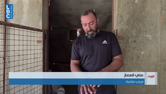 الحرب أنهكت قطاع الماشية في مجدل سلم... من 63 مربّي ماشية إلى 6