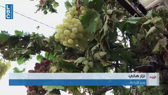 راشيا تحتفل بيوم الدبس