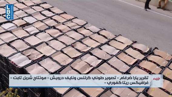 من ينقذ موسم التفاح اللبناني؟