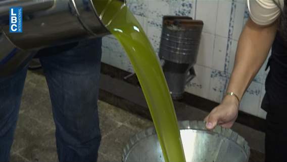 Olive oil production rises as prices fall, while southern Lebanon awaits recovery