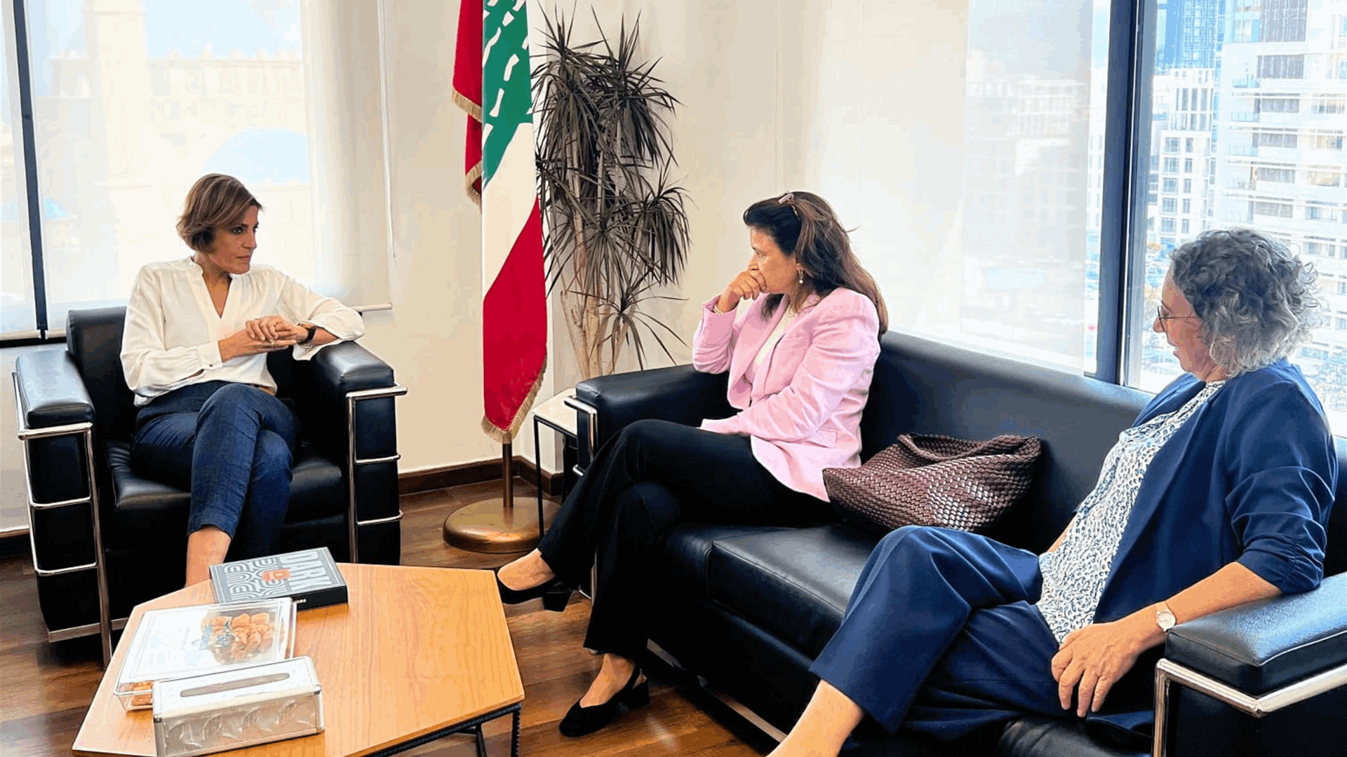 الزين: نعمل لحلول مستدامة للنفايات بتمويل يتفادى القروض ويُنهي كلفة المعالجات المؤقتة.